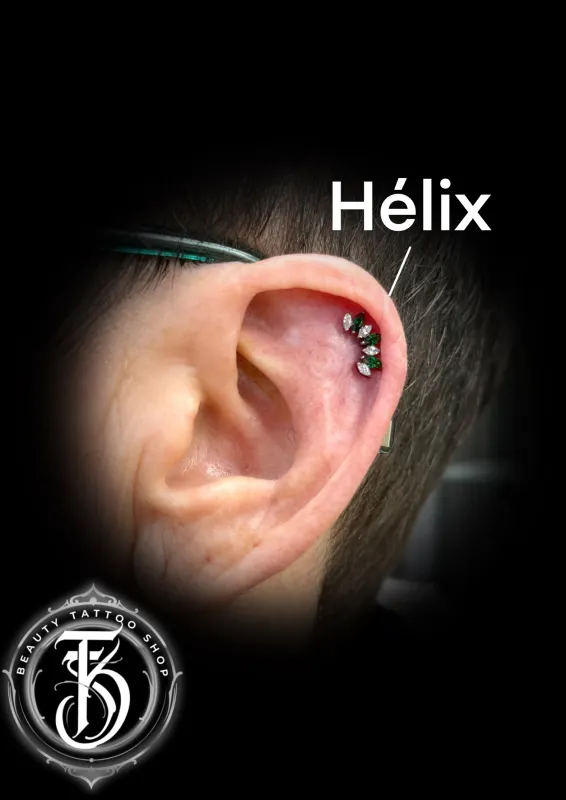 Beauty Tattoo Shop Tatoueur Lamballe Piercing 10