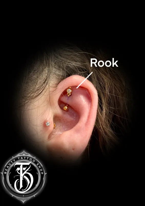 Beauty Tattoo Shop Tatoueur Lamballe Piercing 4