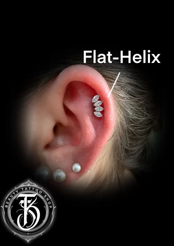 Beauty Tattoo Shop Tatoueur Lamballe Piercing 9